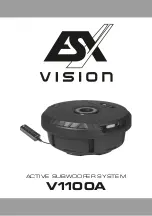 Preview for 1 page of ESX VISION V1100A User Manual