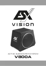 Preview for 1 page of ESX VISION V800A Manual