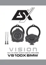 ESX VISION VS100X BMW Quick Start Manual preview