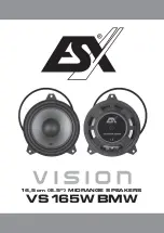 ESX VISION VS165WBMW Manual preview