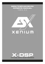 ESX XENIUM X-DSP Owner'S Manual предпросмотр