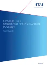 ETAS FETK-T4.0B User Manual предпросмотр