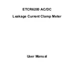 ETCR ETCR6200 User Manual preview