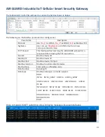 Preview for 81 page of EtherWAN AiR GUARD User Manual