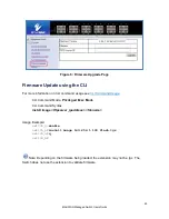 Preview for 49 page of EtherWAN EX72129A User Manual