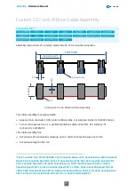 Предварительный просмотр 217 страницы Euresys 1630 Coaxlink Mono Hardware Manual