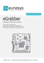 Предварительный просмотр 1 страницы Euresys eGrabber Installation Manual