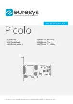 Euresys Picolo Series Installation Manual preview