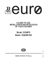 EURO EG600FS2X A Manual To Use, Installation And Regulation предпросмотр