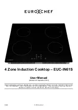 EUROCHEF EUC-IN61S User Manual предпросмотр