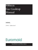 Euromaid CF9GS User Manual предпросмотр