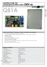 Preview for 1 page of Euromatic PQ81A Instruction Manual