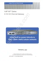 Eurotech VoIP2 AII Series User Manual preview