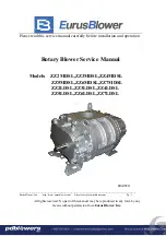 EURUSBLOWER ZZ2LDSL Service Manual preview