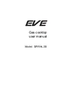 EVE SPIRAL 2B User Manual предпросмотр