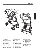 Предварительный просмотр 3 страницы Evenflo 53312418A Instructions Manual