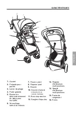 Предварительный просмотр 25 страницы Evenflo 53312418A Instructions Manual