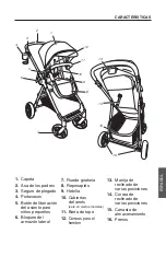 Предварительный просмотр 47 страницы Evenflo 53312418A Instructions Manual