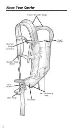 Preview for 4 page of Evenflo Natural fit carrier Instructions Manual