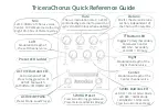 Eventide TriceraChorus Quick Reference Manual preview