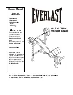 Everlast 16805991000 Owner'S Manual preview