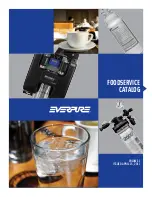 Everpure KleenSteam CT Catalog preview