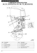 Preview for 16 page of Evinrude E-TEC 115 Original Instructions Manual