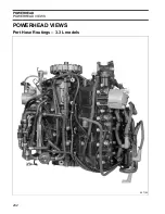 Предварительный просмотр 244 страницы Evinrude E-TEC 200 Service Manual