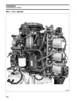 Предварительный просмотр 248 страницы Evinrude E-TEC 200 Service Manual