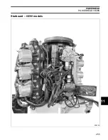 Предварительный просмотр 257 страницы Evinrude E-TEC 200 Service Manual