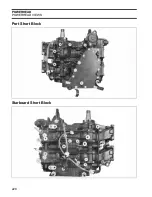 Preview for 230 page of Evinrude E-TEC E40DPLSCB Service Manual