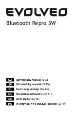 Предварительный просмотр 2 страницы Evolveo Bluetooth Repro 3W User Manual