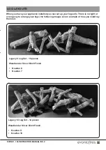 Preview for 29 page of Evonicfires E-Smart Newton 10 Instruction Manual