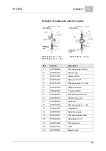 Предварительный просмотр 49 страницы Evoqua WALLACE & TIERNAN SFC BA W3T166501 Instruction Manual