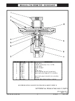 Preview for 67 page of Evoqua Wallace & Tiernan V-2000 Series Manual