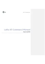 eWBM LoRa AT Command Manual preview