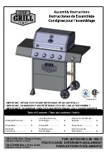 EXPERT GRILL 720-0789M Assembly Instructions Manual preview