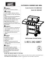 EXPERT GRILL BG2824BP Manual preview