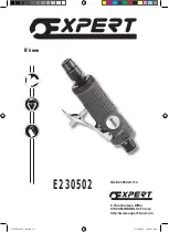 Expert E230502 Manual preview