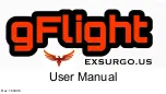 Preview for 1 page of Exsurgo gFlight User Manual