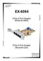 Exsys EX-6084 Manual preview