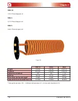 Предварительный просмотр 16 страницы Extraflame BSV 150 ES Installation Manual