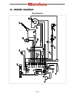 Предварительный просмотр 31 страницы Extraflame EcoLogica Idro Instruction Manual