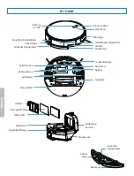 Preview for 40 page of EZiclean Aqua Xpert animal S450 Manual