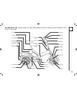 Предварительный просмотр 11 страницы eZip Enlightened Series Owner'S Manual