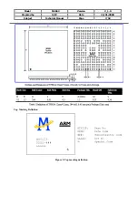 Предварительный просмотр 29 страницы EZZE MASS2 Technical Manual