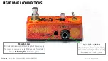 Предварительный просмотр 5 страницы F-Vision F-Pedals PunQmonk User Manual