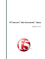 Предварительный просмотр 1 страницы F5 Herculon SSL Orchestrator Setup