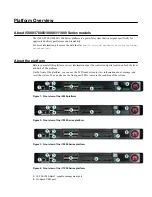 Preview for 5 page of F5 i10000 Series Platform Manual