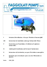 Faggiolati Pumps GM Series Instructions For Installation And Use Manual preview